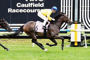 Hiyaam Proud, Caulfield 30 November 2024